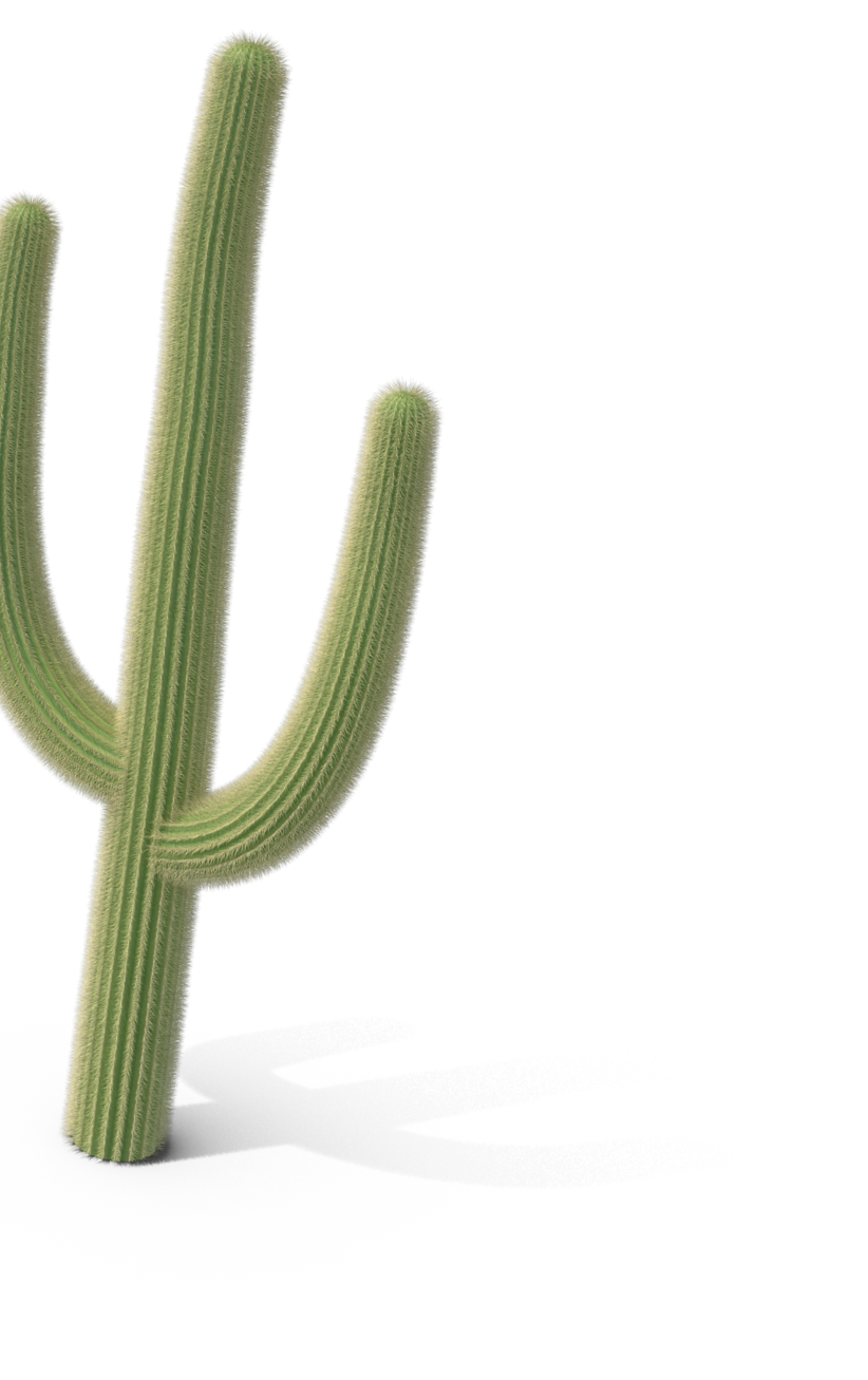 cactus